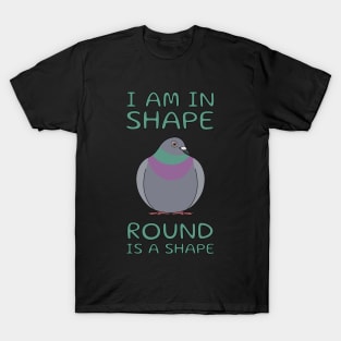 Round Is A Shape Pigeon T-Shirt